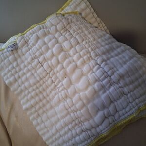 Small Prefold Cloth Diapers (12)